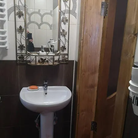 карпатський світанок Holiday home *