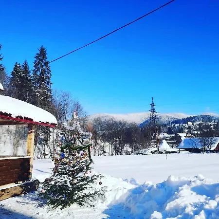 карпатський світанок Holiday home *