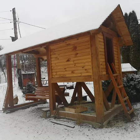 Holiday home карпатський світанок