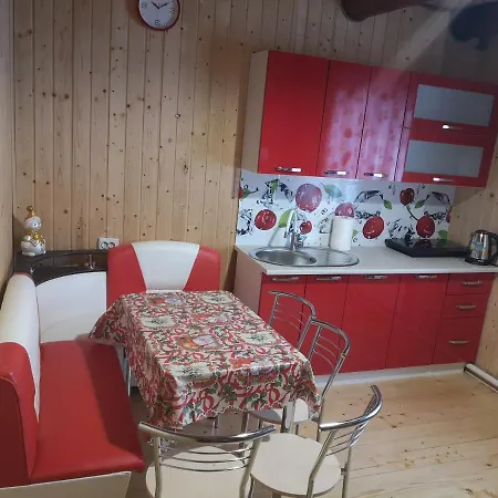 Holiday home карпатський світанок